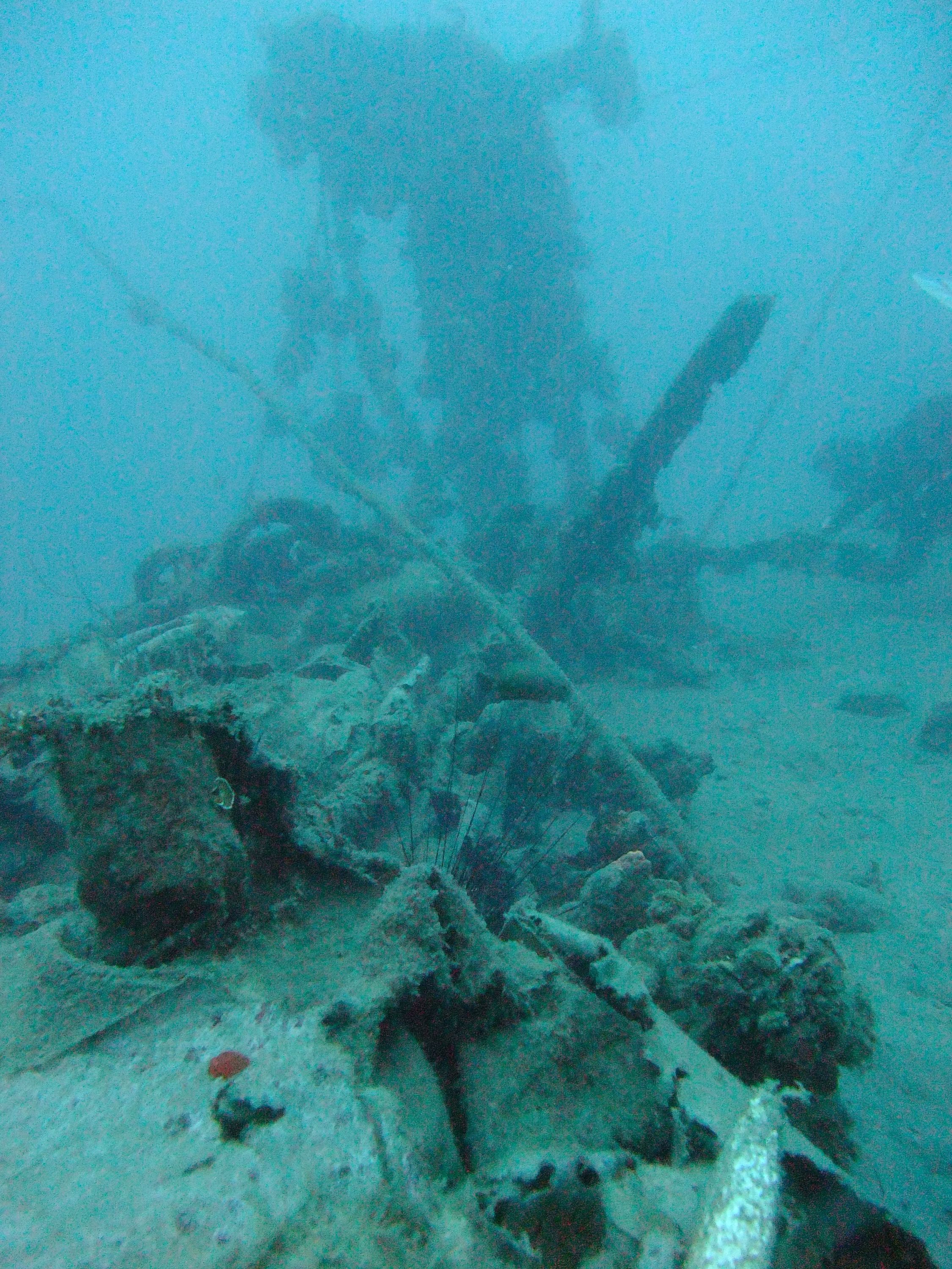 Wreck at Marine Park