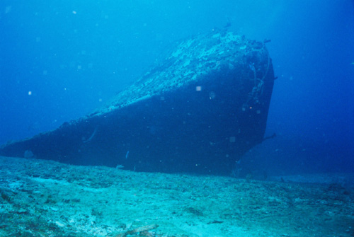 Wreck Dive/Cancun