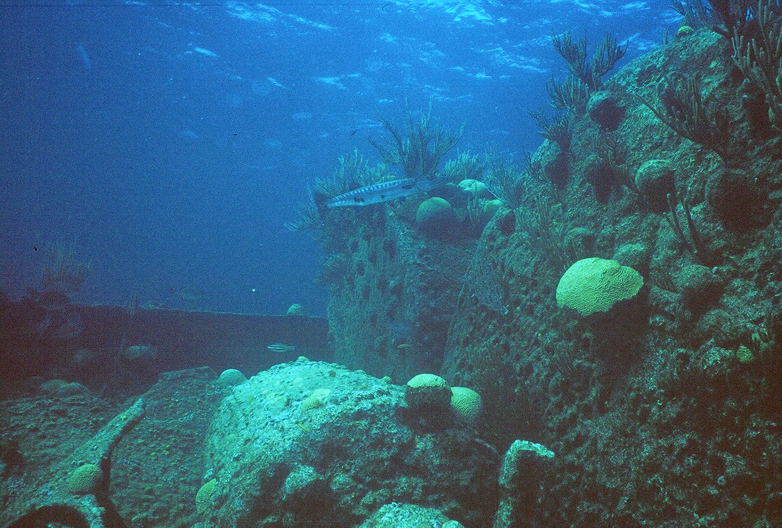 Wreck Diving In Bermuda - Wreck of the Lartington