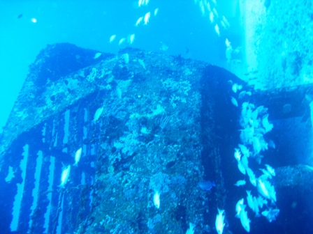 Wreck Diving in Mexico -- Feb 2008