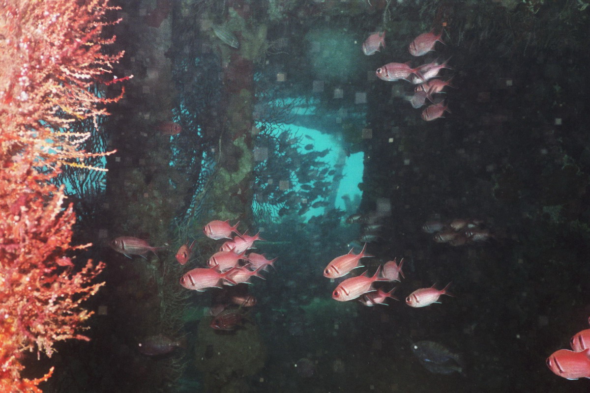 Wreck of Lesleen M, St. Lucia