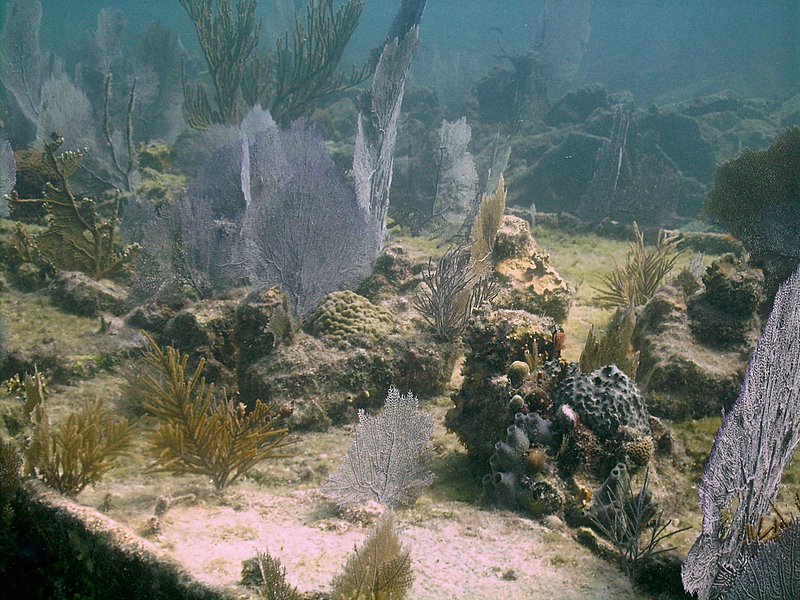 Wreck of the Benwood