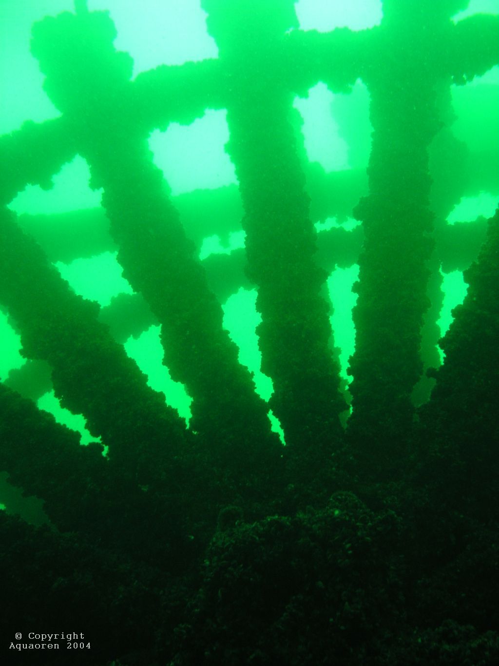 Wreck of the Comet/Kingston/Ontario/Canada