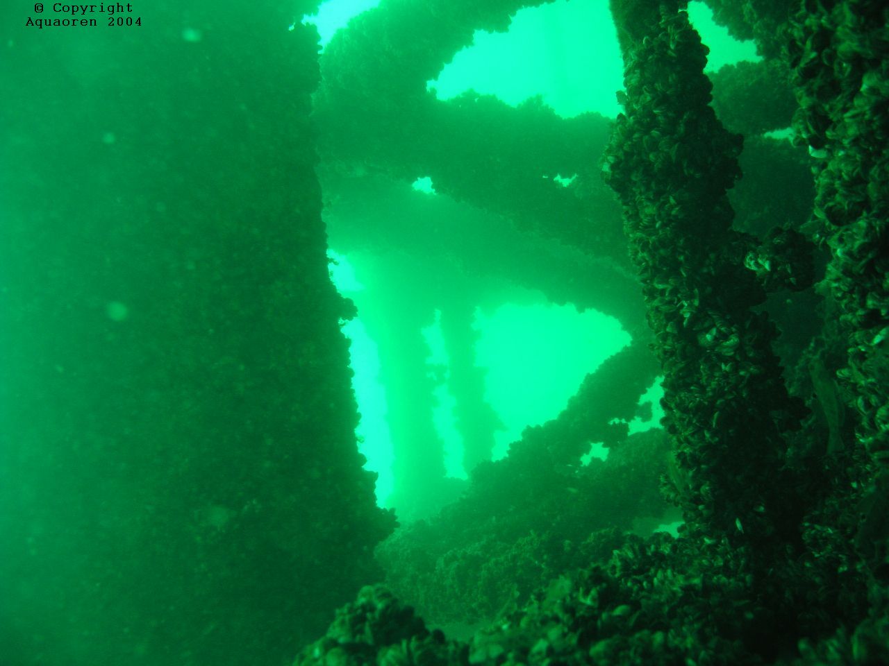 Wreck of the Cornwall/Kingston/Ontario/Canada