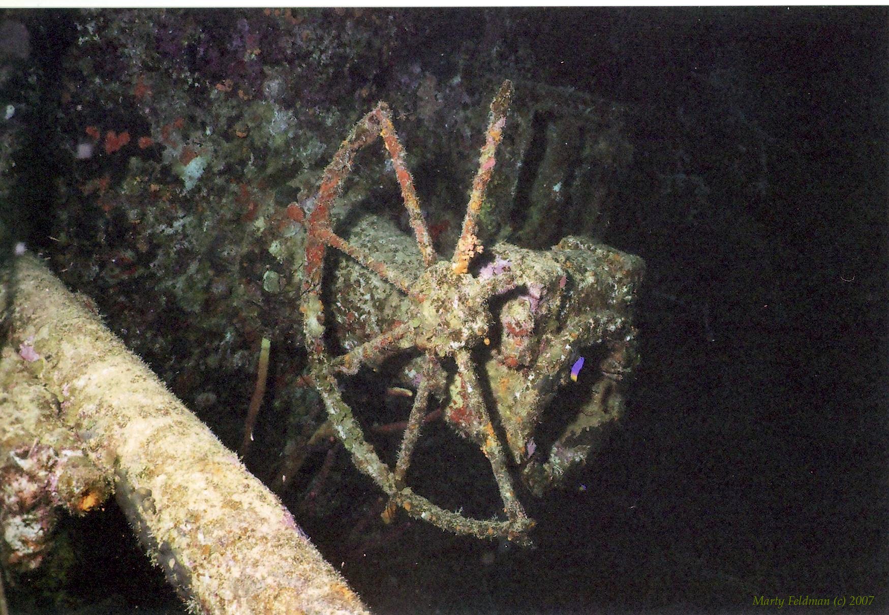 WRECK OF THE HILMA HOOKER--BONAIRE 2007