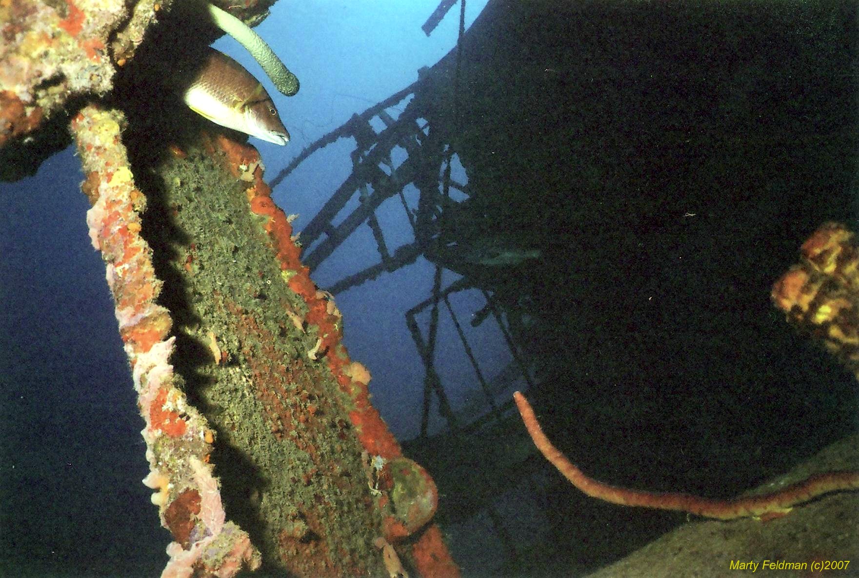 WRECK OF THE HILMA HOOKER--BONAIRE 2007