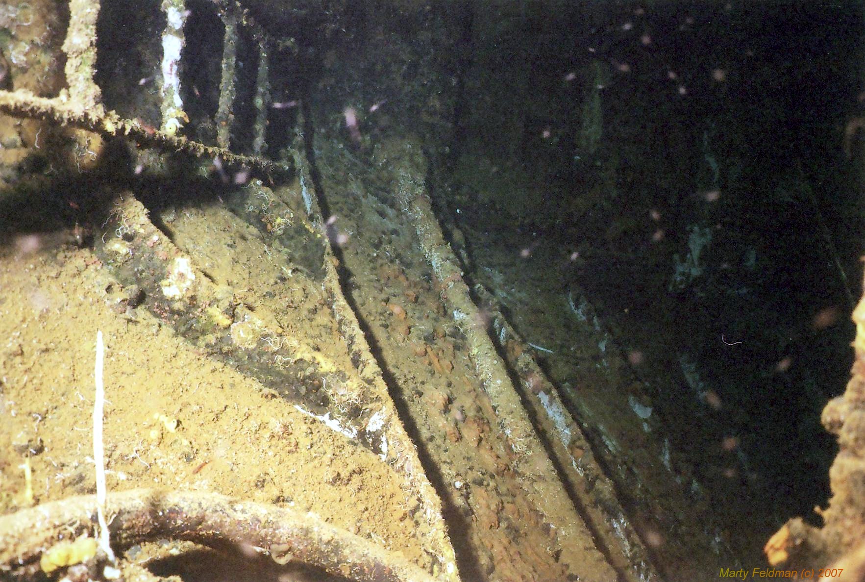 WRECK OF THE HILMA HOOKER--BONAIRE 2007