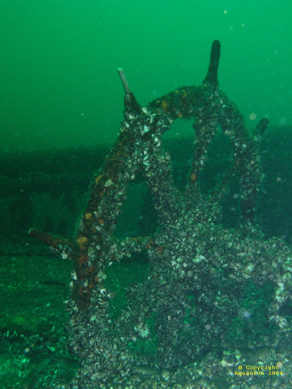 Wreck of the Marsh/Kingston/Ontario/Canada 2