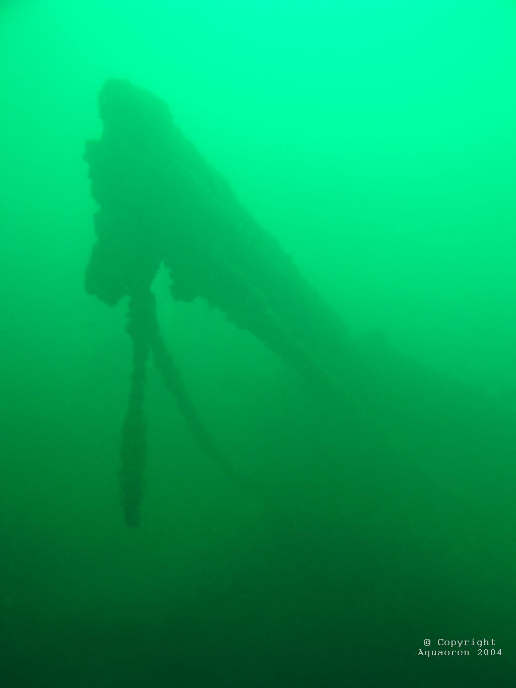 Wreck of the Marsh/Kingston/Ontario/Canada 4