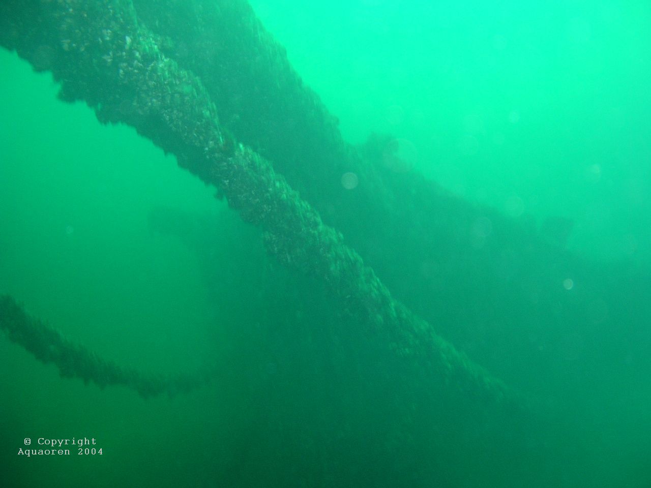 Wreck of the Marsh/Kingston/Ontario/Canada