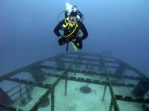 Wreck of the Minesweeper C-53 in Cozumel