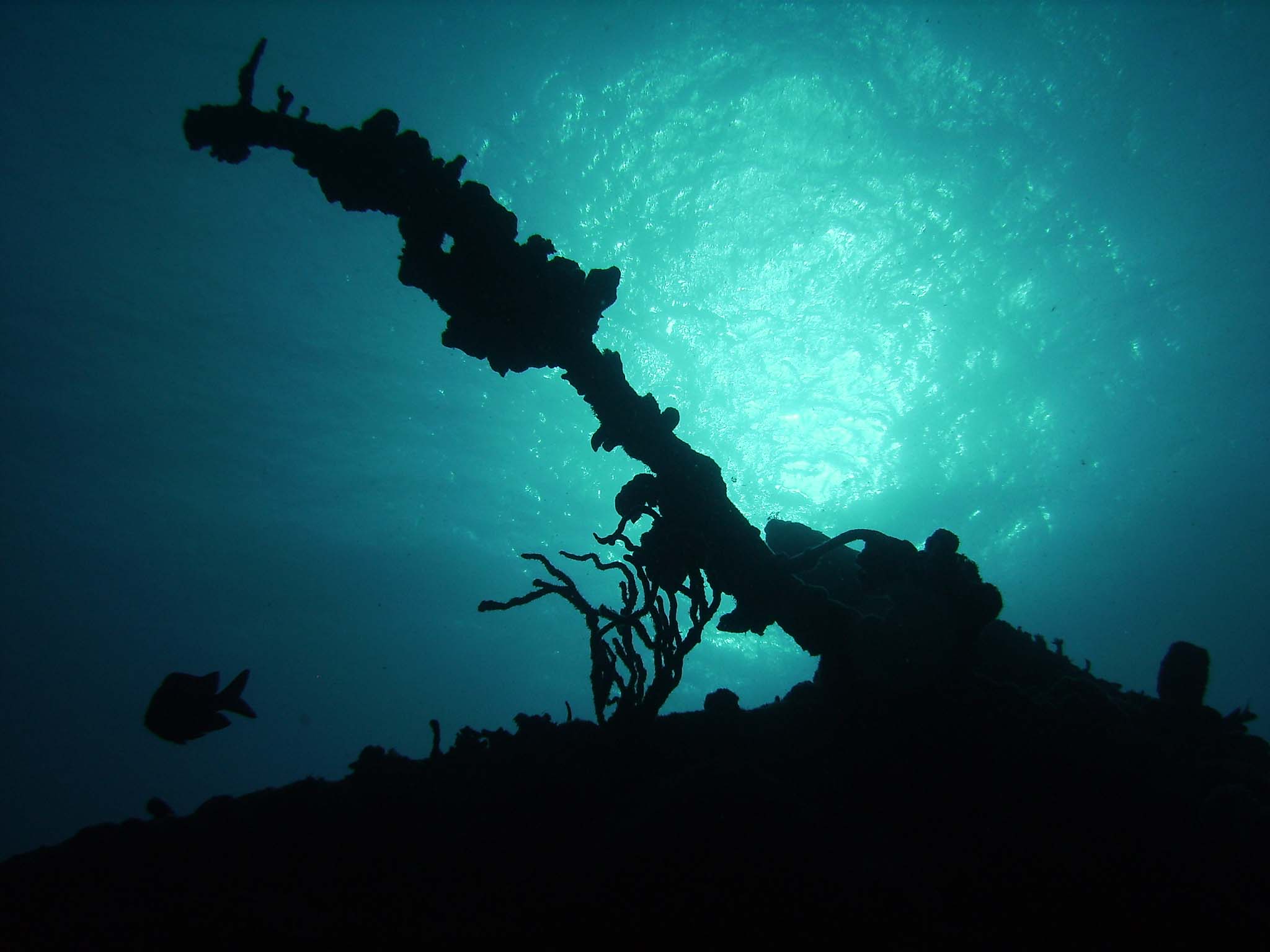 Wreck of the Rhone Bow