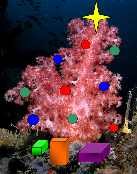 Xmas / Anenome