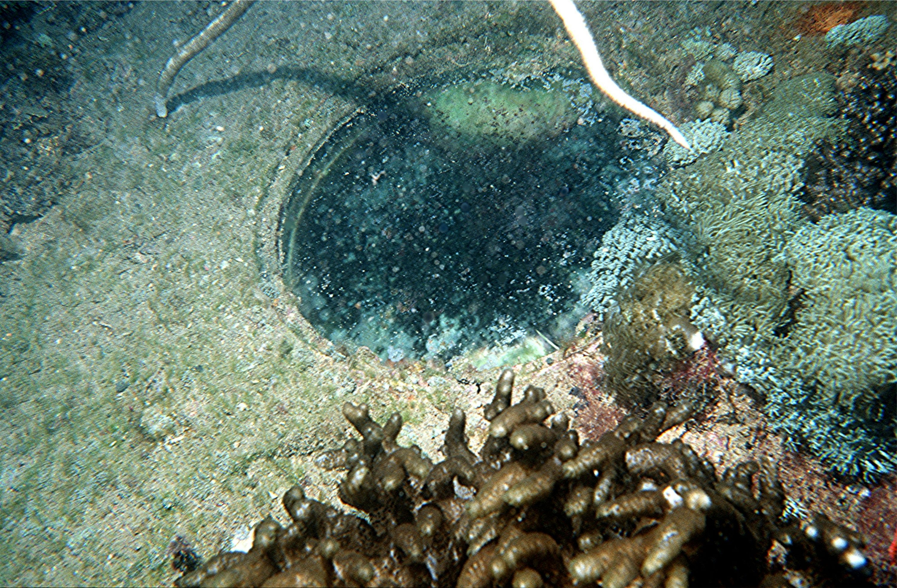 Yongala Wreck Dive - Townsville Australia